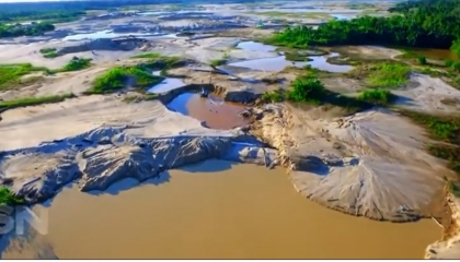 Illegal gold mines Amazon rainforest