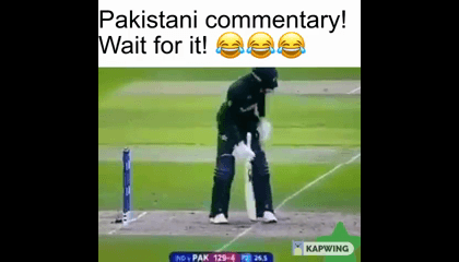 Pakistani Commentary