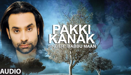 Babbu Maan  Punjabi Audio Song  Pakki Kanak  Punjabi Hit Song