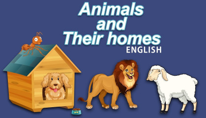 Animals and Their Homes English II Yala Kids Hindi Channel II