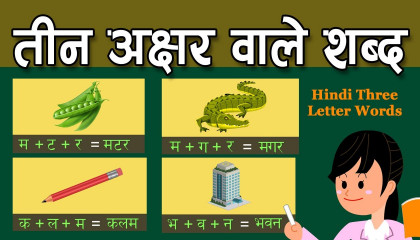 तीन अक्षरों वाले शब्द  Hindi Three Letter Words  Three Letter Words In Hindi