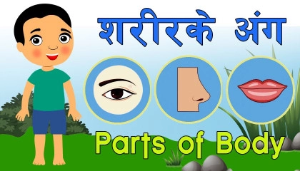 Body Parts Name Hindi  Human Body Parts Name in Hindi and English