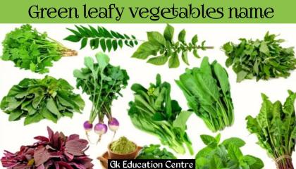 Green leafy vegetables name । green vegetables list  हरे पत्ते वाली सब्जियों के नाम