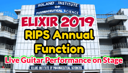 Live Guitar Playing | RIPS Annual Function | ELIXIR 2019