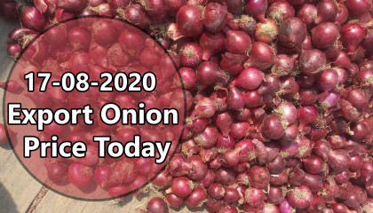 onion price today | export onion Price | onion export price in india