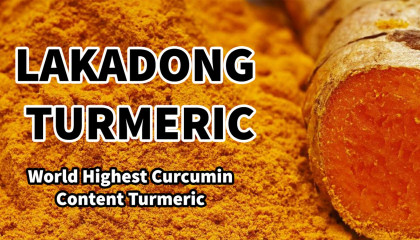 lakadong turmeric benefits   lakadong turmeric price   high curcumin turmeric