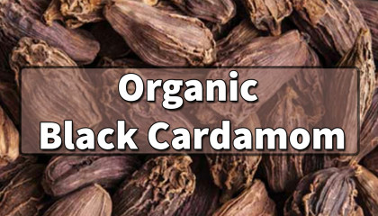black cardamom pods   large cardamom   badi elaichi   organic black cardamom