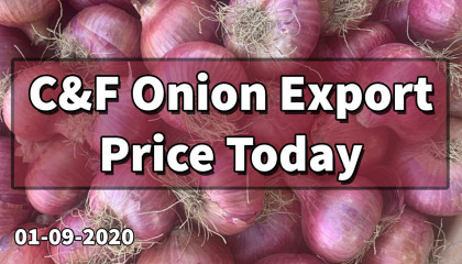 onion price in india   today onion price   nashik onion   onion cif export price today
