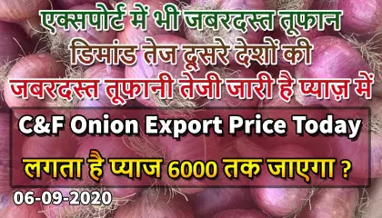 cif onion export price | onion export price today | today onion price | onion price in bd today