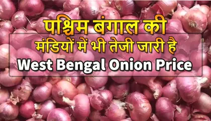 west bengal onion price | siliguri onion price | kolkata onion price | onion price in siliguri