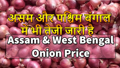 guwahati onion price   west bengal onion price   siliguri onion price   kolkata onion price