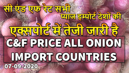 C&F onion export price   onion export price today   today onion price   onion price in bd today