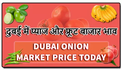 dubai onion price today | dubai vegetable market price | dubai market price