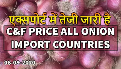 onion export price today | today onion price | onion price in bd today | C&F onion export price