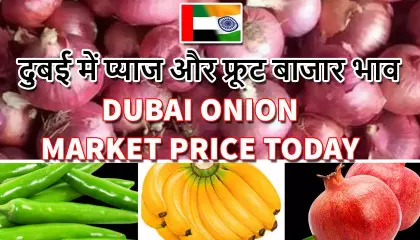 dubai onion price | dubai vegetable market price | dubai market price