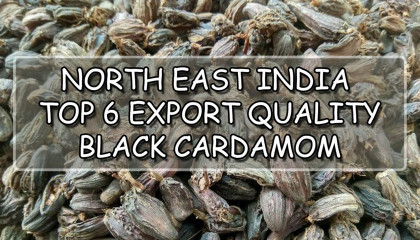 assam large cardamom | arunachal large cardamom | nagaland large cardamom | india