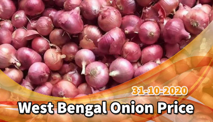 siliguri onion price   west bengal onion price   kolkata onion price   onion price in siliguri