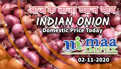 02-11-2020 | प्याज की दाम | today onion price | నేడు ఉల్లిపాయ ధర