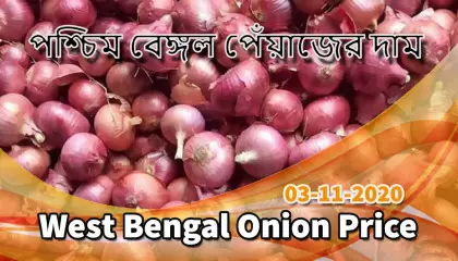 west bengal onion price | kolkata onion price | onion price in siliguri | siliguri onion price