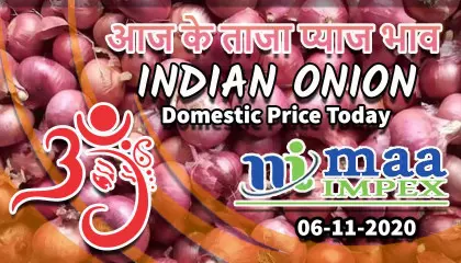 06-11-2020 | today onion price | today onion rate | प्याज की दाम