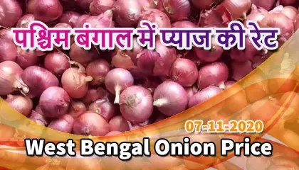 kolkata onion price | west bengal onion price today | onion price in siliguri | पश्चिम बंगाल में प्याज की रेट