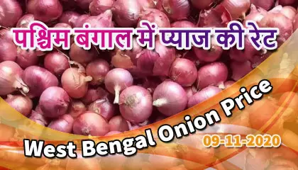 jalpaiguri onion price | west bengal onion price today |  पश्चिम बंगाल में प्याज की रेट