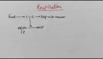 Definition of Respiration