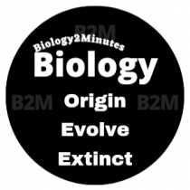 Biology2Minutes