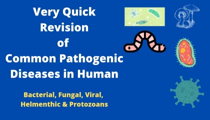 common Pathogenic disease in human