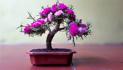 How to Propagate Portulaca/Moss Rose from Cuttings(With Update Videos)