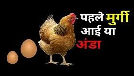 मुर्गी पहले आया या अंडा_hen came first or egg_Murgi Pahle Aya ya Anda_Anda Pahle Aya Ya Murgi