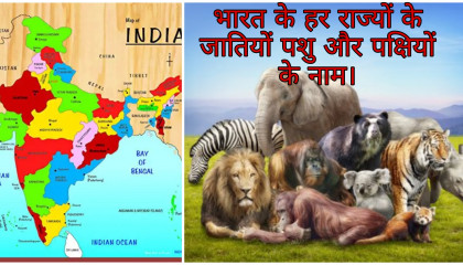 Indian National Animal's And Bird's Of All States