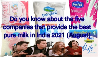 Five leading milk companies in India that provide of purity N Quality milk 2021