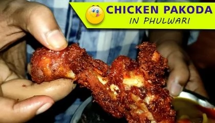Chicken Pakoda 🍗 and Spring Rolls 🥖  Phulwari Patna  DFT