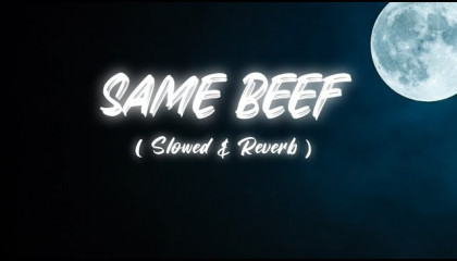 Same Beef Slowed + Reverb Sidhu Moose Wala ft. Bohemia  Same Beef Song Lyric