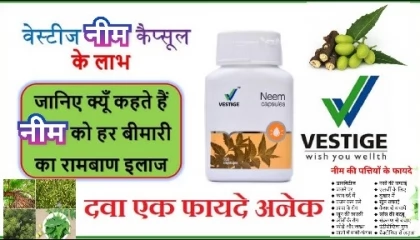 Vestige Neem Capsules Benefits.Vestige Neem In Hindi.वेस्टीज नीम के फायदे.Neem