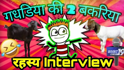 Gadhadiya की 2 बकरिया 
Desi Village Comedy