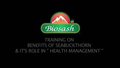 अपने आप को स्वस्थ रखें Biosash के बेहतरीन Products के साथ