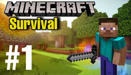 Minecraft Survival Game Play 1