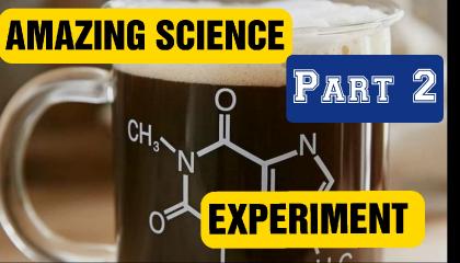 AMAZING SCIENCE EXPERIMENTS  PART2