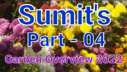 Sumit's Garden Overview 2022 part - 04