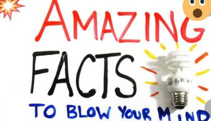 20 amazing fact mind blowing facts