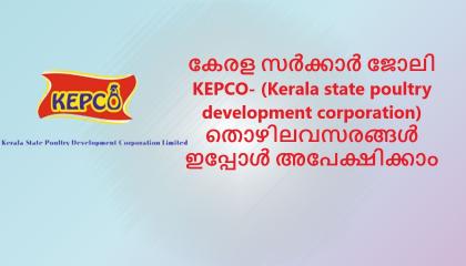 KEPCO   Recruitment 2021 Kerala GOVT jobs Apply online JIJIZ