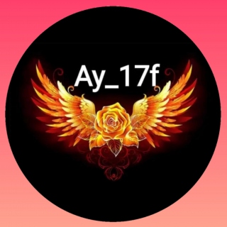 ay_17f
