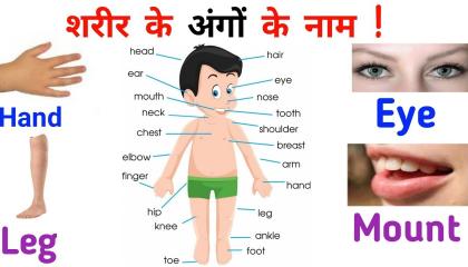 Sharir ke ango ke Naam  Body Part Name Hindi English  Name of Body parts  शर