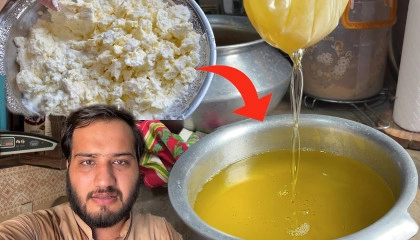 Desi Ghee and Butter Recipe  How to make Butter at home