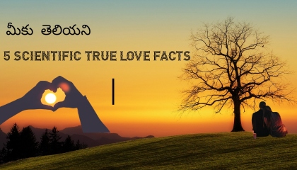 Scientific Facts about true love ❤❤❤❤ Telugu