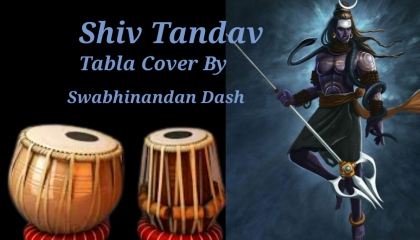 Shiv Tandav  Tabla Cover