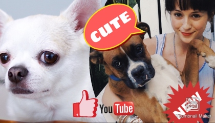 CutePets, Omg Do cute Dog barking video,Cat dog barking video 2021 8