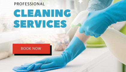 Amenify’s Deep Cleaning Services  Carpet Cleaning Company